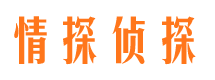 高淳市出轨取证